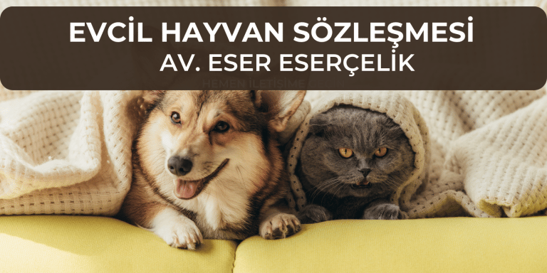 EVCİL HAYVAN SÖZLEŞMESİ