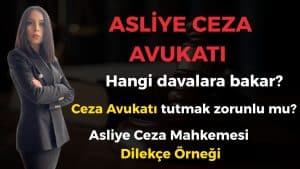 Asliye Ceza Avukati Doga Eser Asliye Ceza Avukatı