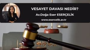 vesayet davasi nedir vesayet davası nedir
